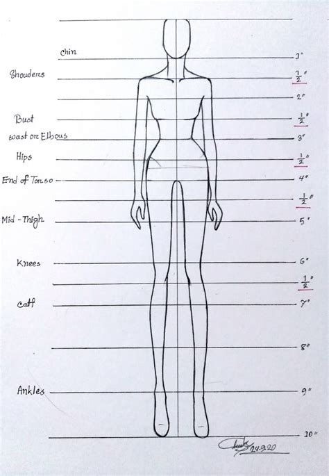 A Drawing Of A Female Mannequin With Measurements For Each Part Of The Body