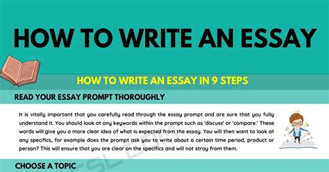 What To Write An Essay About The Beginners Guide To Writing An Essay