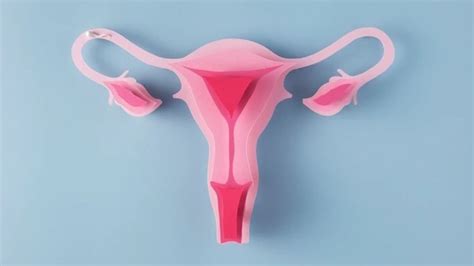 Ovarian Cysts Warning Signs Causes Types Treatment And All You Want To Know Health