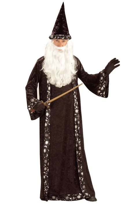 Mr Wizard Merlin Costume Costume Wonderland