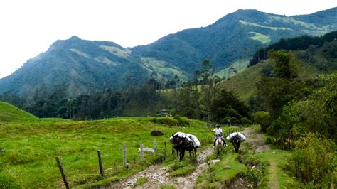 Colombia Mountains And Medellin Journeys International