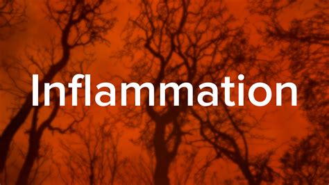 How Inflammation Affects Your Health News Yale Medicine