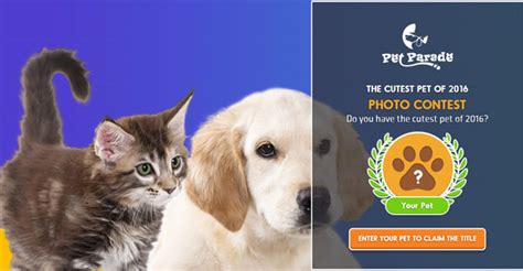 Upload your best shoot to win the competition! The Cutest Pet of 2016 Photo Contest from Pet Parade ...