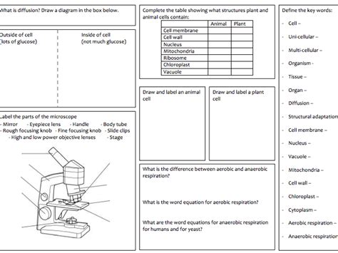 Both cells can be divided into two main parts, the cytoplasm and the plasma membrane. KS3 Revision mats for "cells and respiration" and "humans ...