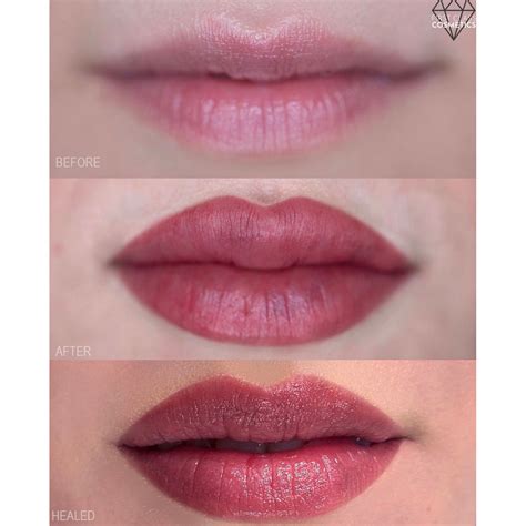 Lip Blush Color Guide First Class Cosmetics