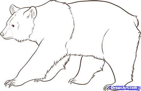 If you want to learn how to draw a cartoon black bear, the kind you would find in the wooded forest, then this is the drawing tutorial for you. Free Bear Drawing, Download Free Bear Drawing png images ...
