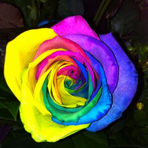Dyeing flowers is a flower craft project that's so easy to do, even the kiddos can get involved. Tie dye roses! | Flowers | Pinterest | Dyes, Ties and Tie dye