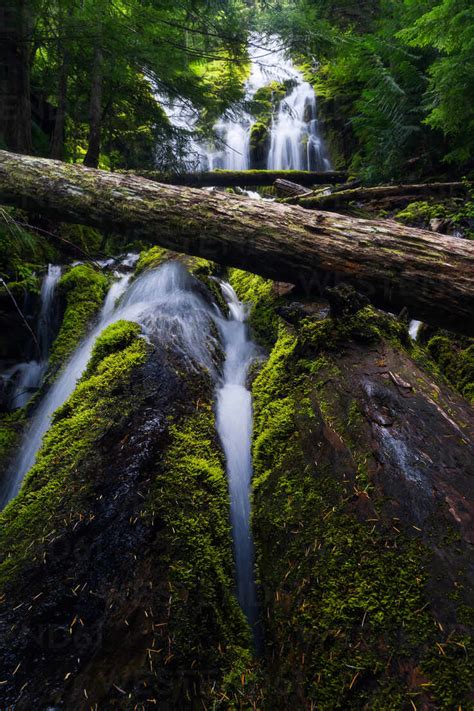 Landscape Of Upper Proxy Waterfall In Oregon Stock Photo