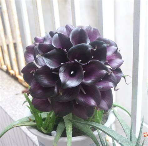 The dark purple color intensifies and darkens with more sun exposure. 2018 Artificial Flower Real Touch Dark Purple White Calla ...