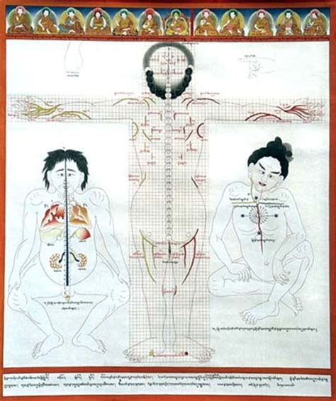 introduction à la médecine tibétaine par le dr tamdin sither [tibet