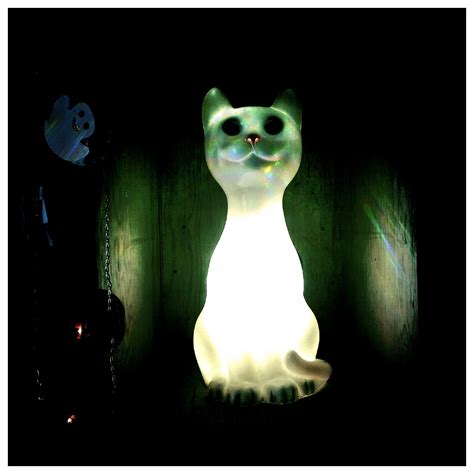 Glow Cat And The Ghost Taken With Vignette On My Mobile P Flickr