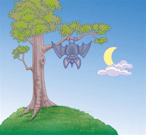 Clip Art Of A Bats Hanging Upside Down Illustrations Royalty Free