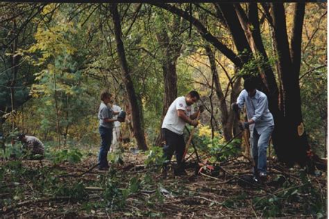 Natural Resources Group Forest Restoration Team Nyc Parks