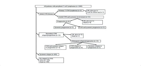 Flowchart Of Patients With Peripheral T Cell Lymphomas Cns Central