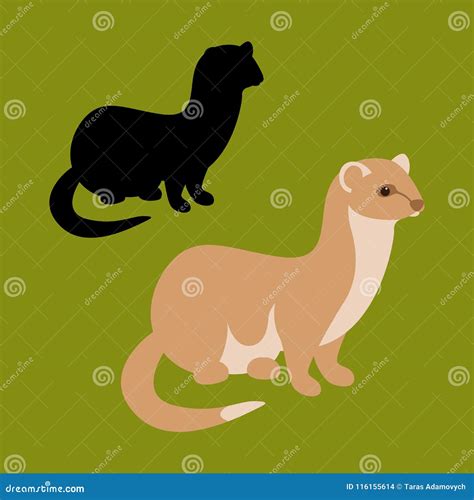Silhouette Of Weasel Ferret With Cub Weasels Ferret An Animal Of The