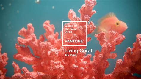 The Pantone Color Of The Year Is Officially Released