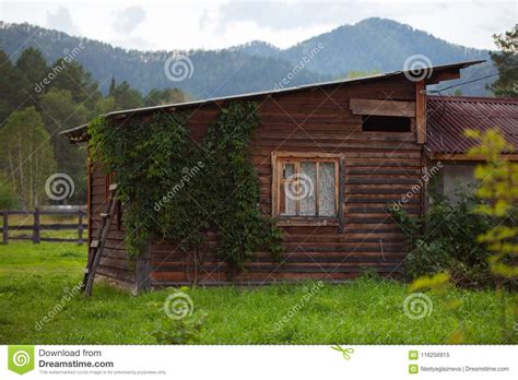 Overgrown Little Wood House In Altai Mountain Stock Image Image Of