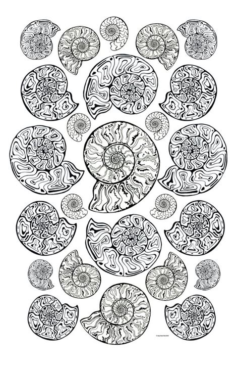 Printing an 11x17 paper is more cost effective as there are more. All Ages Coloring Art Print Ammonites Fossil Design 11x17 ...