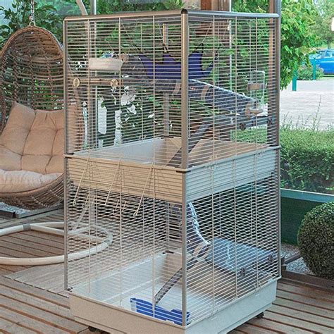 9 Best Rat Cages For Pet Rats In 2022 Reviews And Top Picks Pet Keen
