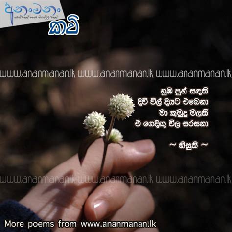 Sinhala Poem Numba Pun Sandaki By Hisuthi Sinhala Kavi Sinhala