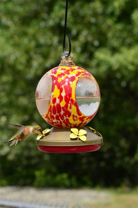 Hummingbird Feeder Base with Perch & Tray Replacement ...