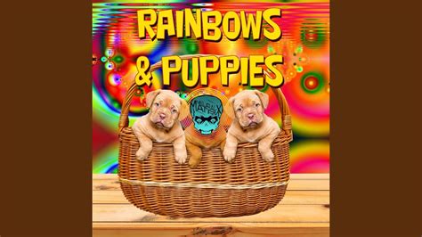 Rainbows And Puppies Youtube