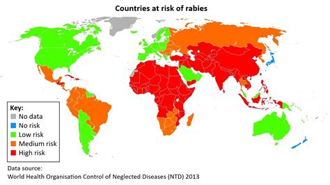 Bats And Rabies Acer Ecology