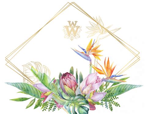 Watercolor Tropical Clip Art Floral Border Clipart