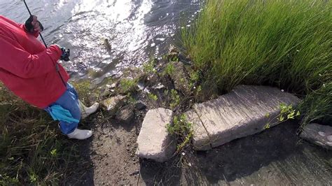 Bank Fishing, are they here yet? - YouTube