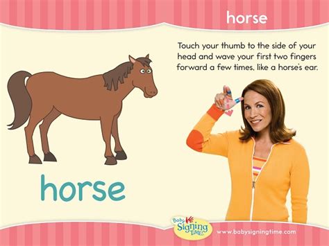 Learn How To Sign Horse Signingtime Dictionary