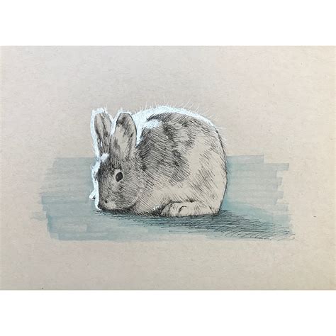 Snowshoe Hare 01 — Schaefer Fine Art