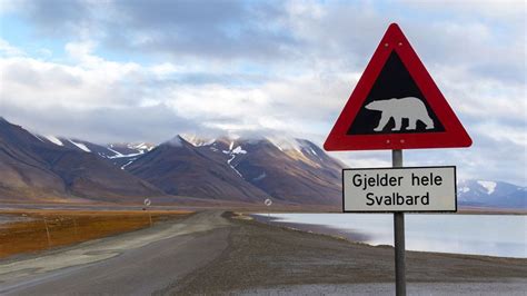 Welcome To Svalbard A Place Anyone Can Call Home Bbc Travel