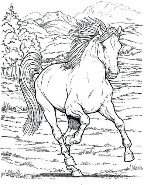 Detailed Horse Coloring Pages At Free Printable