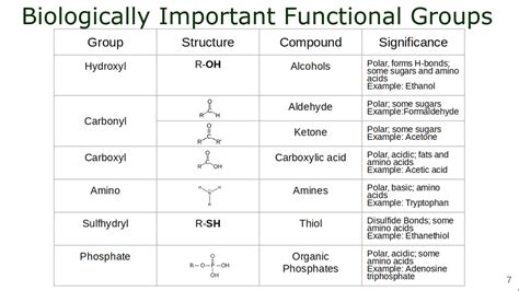 Biologically Important Functional Groups Diagram Quizlet