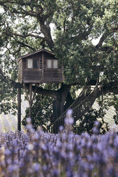 Nearby attractions include centro storico (2.2 miles), corso vittorio emanuele iii. La Casa sull'Albero - Suite Bleue - La Piantata - Casa ...