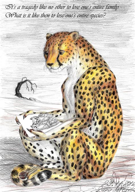 Save The Cheetah Blog Deviantart