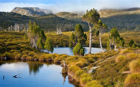 Tasmania Australia Lake Mountains Grass Trees Water Shrubs Nature