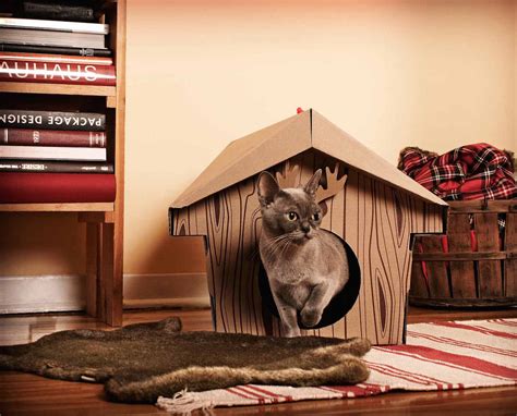 Canadian Cabin Cat House Gadget Flow