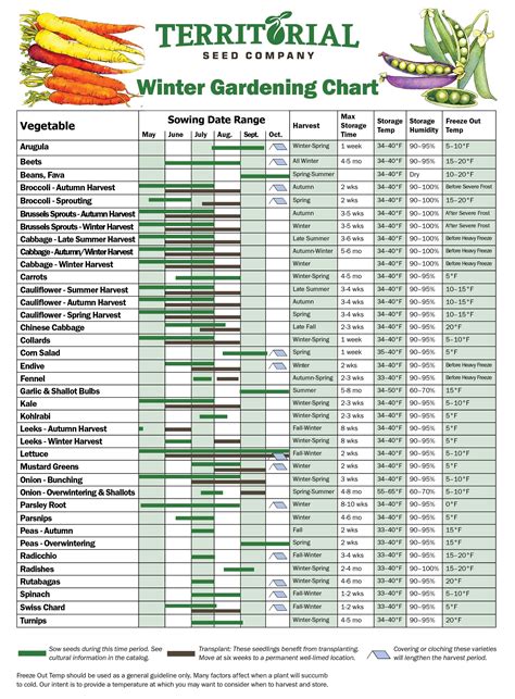 Winter Gardening Chart Fall Garden Vegetables Growing Winter