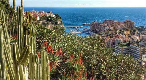 .officially the principality of monaco (french: Ogród Egzotyczny w Monako - największy na świecie ogród ...