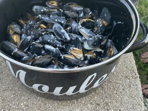 Moules sauce au roquefort au Thermomix