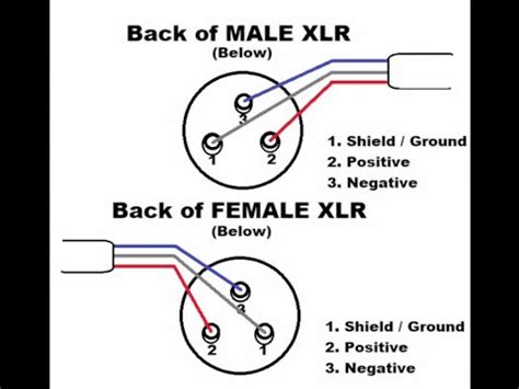 Audio related searches for mini xlr wiring diagram xlr cable wiring diagrammini xlr pinout 3 pinxlr mic wiring diagramxlr connections. Xlr Wiring Diagram Lable - Wiring Diagram Schemas