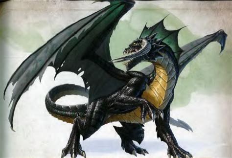 Ancient Black Dragon Dragon Artwork Dragon Pictures Fantasy Art Men