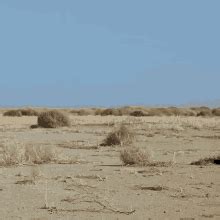 érkezés Hat kémény rolling tumbleweed gif ismétlés Élősködő folyadék