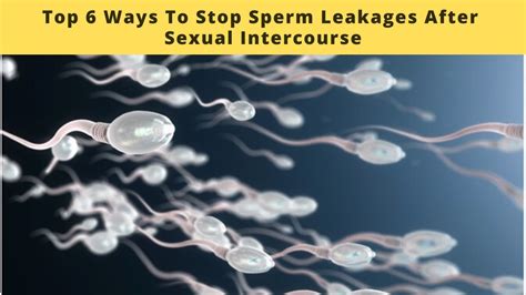 Top 6 Simple Ways To Stop Sperm Leakages After Sexual Intercourse Youtube