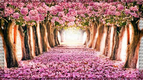 Hello Spring Wallpaper 2020 Cute Wallpapers