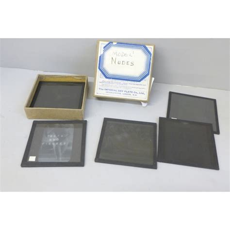 A Collection Of S Model Nudes Glass Negatives