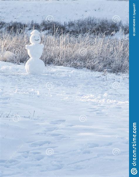 Snowman On Snowy Field Black And White Stock Image Image Of Playful