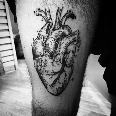 110 Best Anatomical Heart Tattoo Designs And Meanings 2019