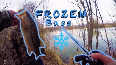 This Bass Should Have Been Frozen Winter Bass Fishing Youtube